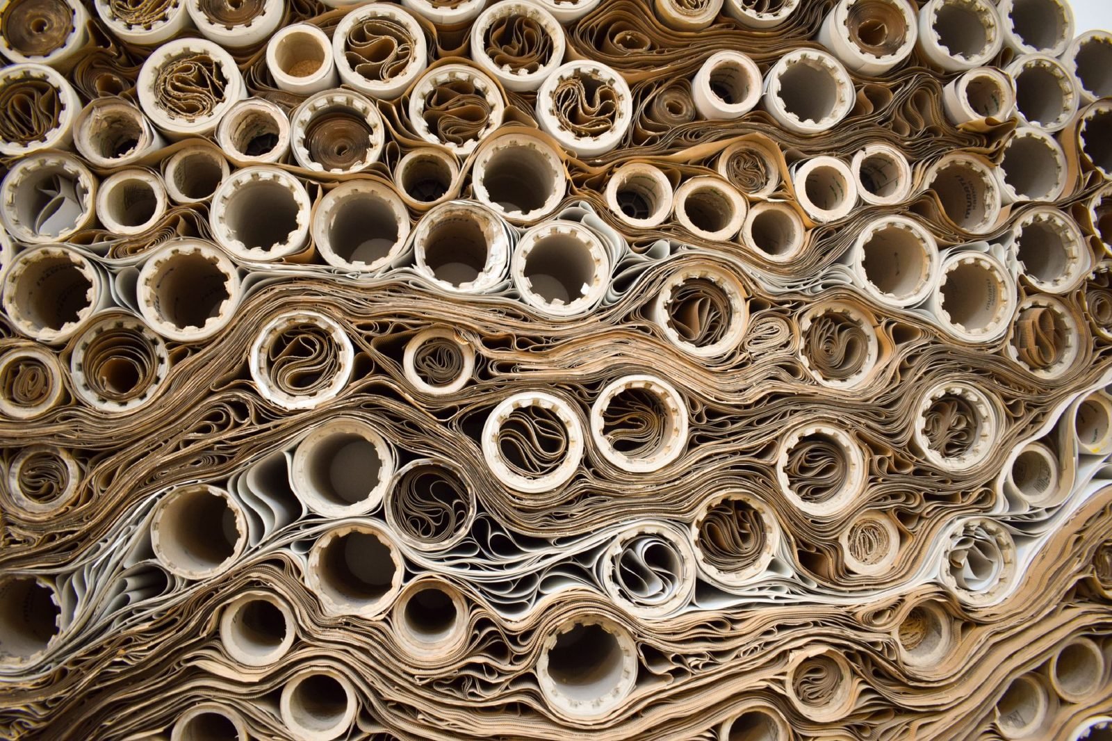 Rolls of paper wound on paper cores, stacked end-on